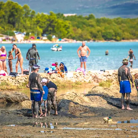 In - Insel Krk 13479 Šilo